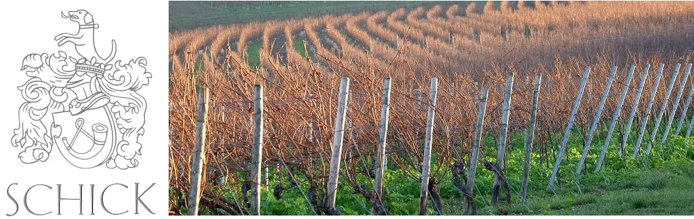 Winterliche Weinberge in Jugenheim, Rheinhessen im Abendlicht